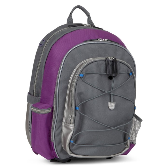 Рюкзак ecco back to School 4579