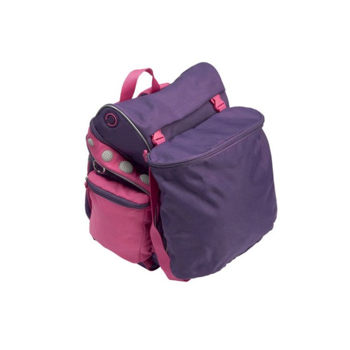Рюкзак ecco back to School