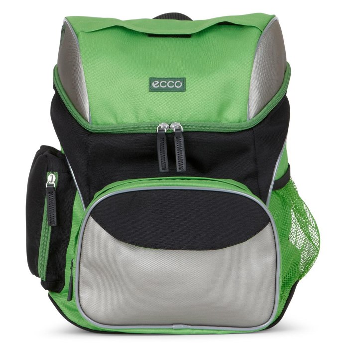 Рюкзак ecco back to School