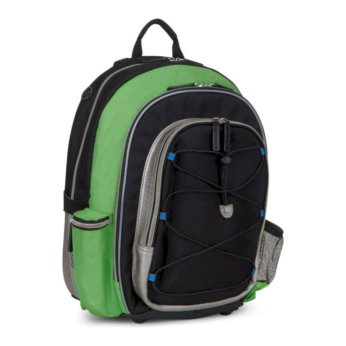 Рюкзак ecco back to School 4579