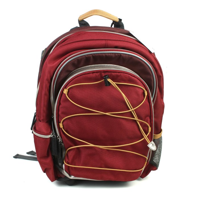 Рюкзак ecco b2s Backpack
