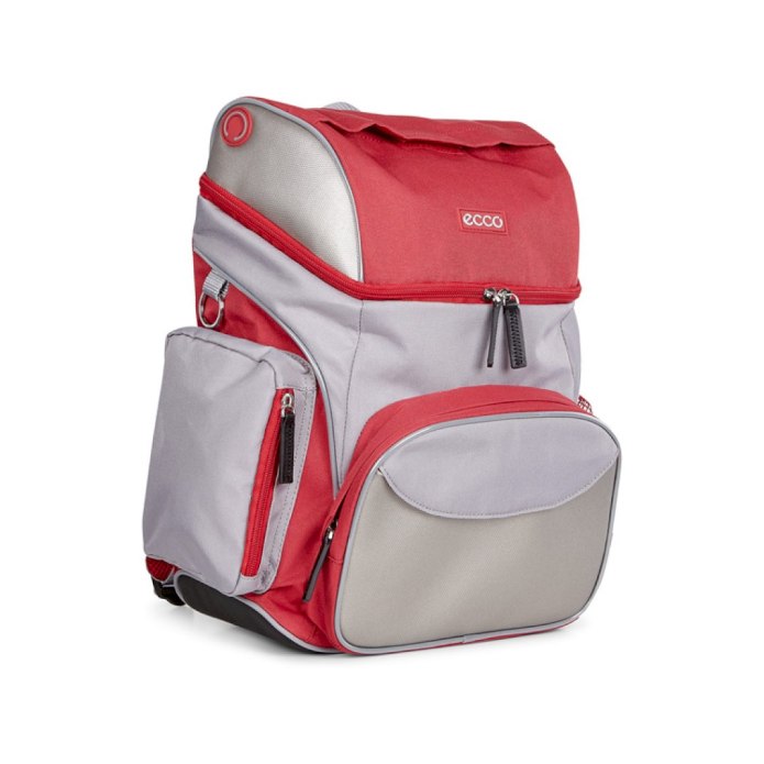 Рюкзак ecco back to School