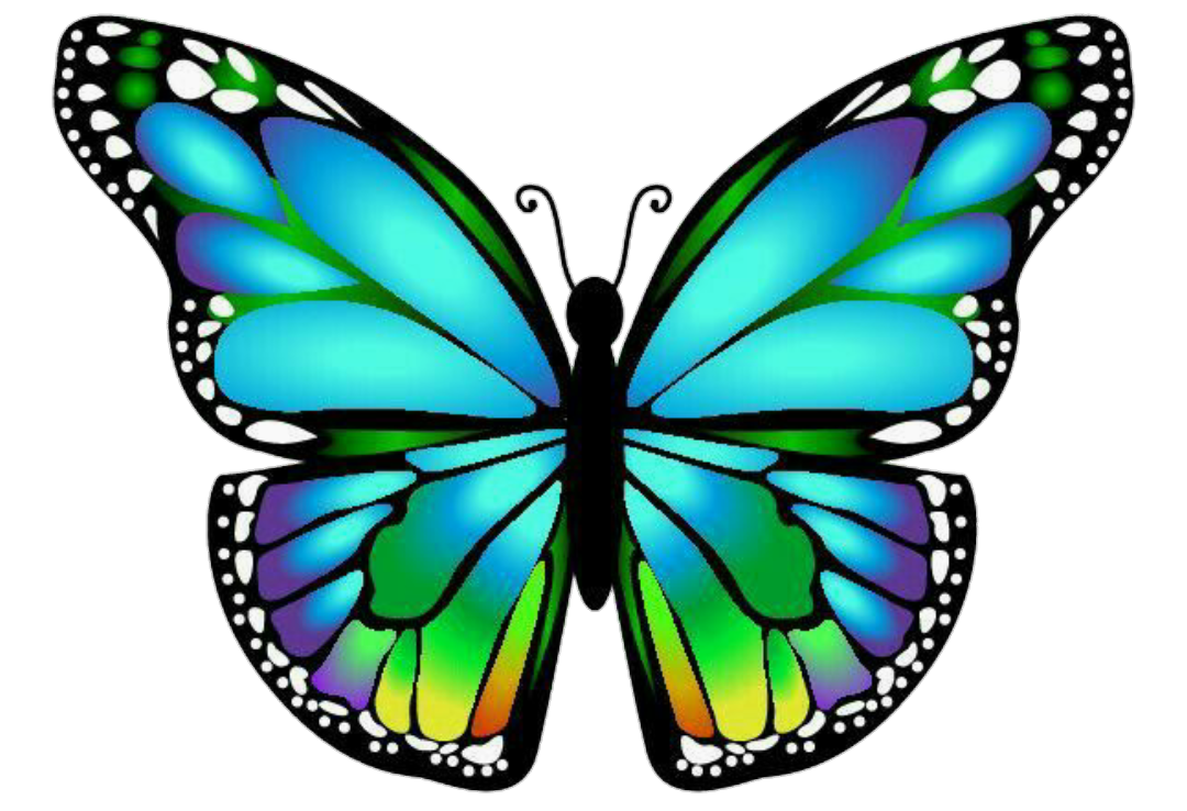Бабочки цветные картинки для вырезания. Разноцветные бабочки. Бабочки для вырезания цветные. Бабочки красивые цветные. Красивые цветные бабочки для вырезания.